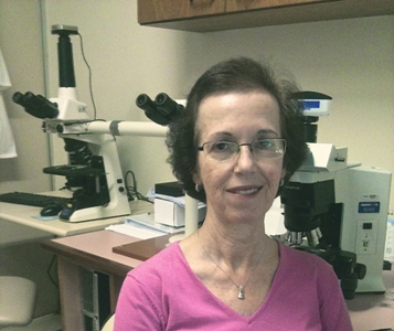 Dra.LeilaChimelli